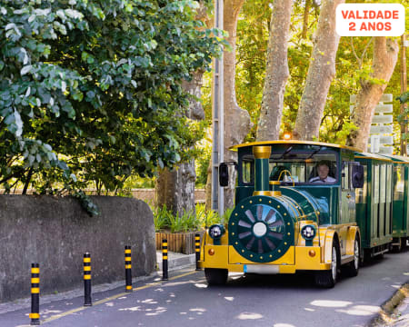 Comboio Turístico de Sintra | Passeio em Família pela Vila dos Mil Encantos!