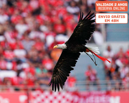 Sport Lisboa e Benfica | Tour ao Estádio e Museu + Cachecóis