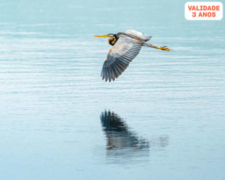 Aquarama | Baptismo de Birdwatching | 4 Pessoas