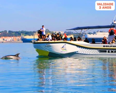 Rotas do Sal | Passeio de Barco c/ Observação de Golfinhos - Época Alta | 1 Adulto + 1 Criança