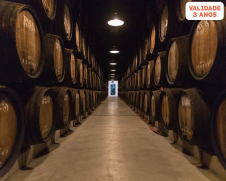 Visita Guiada + Prova Premium de Vinhos do Porto à Escolha | 1 ou 2 Pessoas | Vila Nova de Gaia