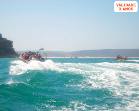 Passeio de Barco ou Jetski na Nazaré | North Canyon Experience! Atlantic Safari