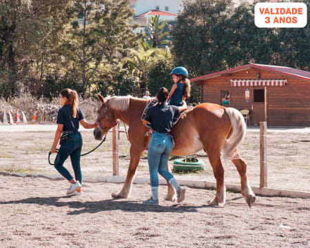 Aula de Equitação em Cavalo ou Pónei | Quintinha Pedagógica de Canelas - Vila Nova de Gaia