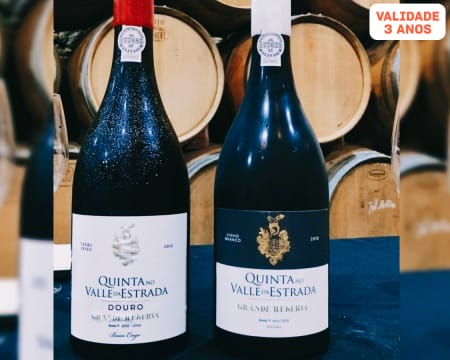 Prova de 2 Vinhos e Degustação de Petiscos para Dois | Colheita de 1000 Castas - Sintra