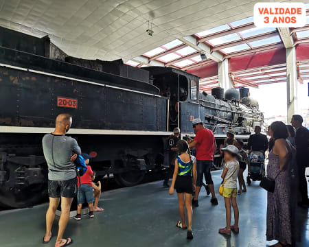 Visita Guiada ao Museu Nacional Ferroviário + Minicomboio + Lunchbox | 2 Adultos + 2 Crianças | Entroncamento