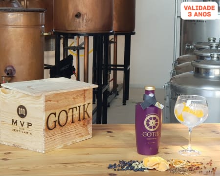 O 1.º Gin do Ribatejo! Visita à Destilaria + Prova de Gin Gotik | Santarém