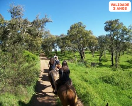 Passeio Privado a Cavalo pelo Campo Alentejano a Dois | Presente Romântico! Santiago do Cacém Passeio Privado a Cavalo pelo Campo Alentejano a Dois | Presente Romântico! Santiago do Cacém