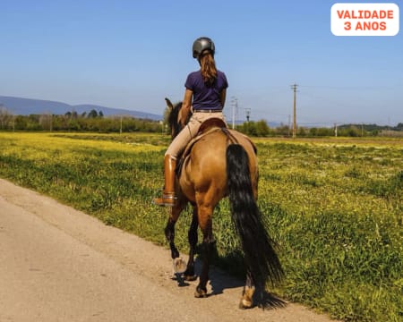 Passeio a Cavalo na Golegã para Dois | 1 Hora na Natureza