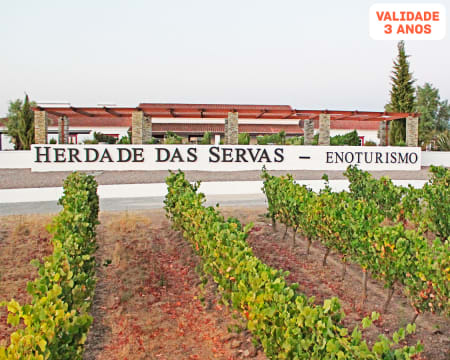 Visita à Propriedade + Prova de 4 Vinhos para Dois | Herdade das Servas - Estremoz