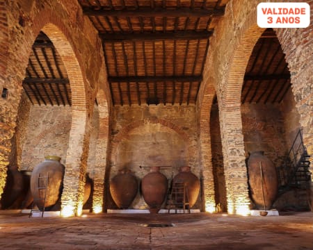 Visita Guiada à Adega-Museu Cella Vinaria Antiqua + Prova de Vinhos | 1 ou 2 Pessoas | Honrado Vineyards - Vidigueira