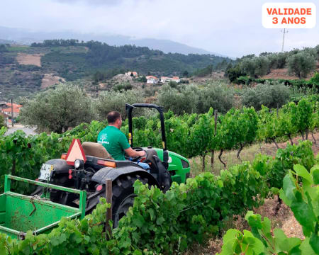 Experiência de Condução de Tractor com Alfaia Agrícola para 1 ou 2 Pessoas | Viseu