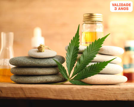 Massagem de Relaxamento com Óleo Puro de Cannabis | 1 ou 2 Pessoas | Celtik Spa em Sintra