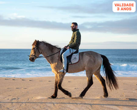 Passeio a Cavalo na Praia no Litoral Alentejano | 1 Hora | Monte Cabanas do Mar - Sines