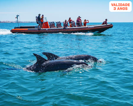 Passeio de Barco para Ver Golfinhos | 2H | Vilamoura Water Sports Center