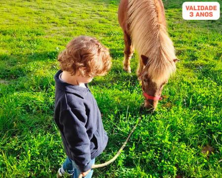 Baptismo de Cavalo ou Pónei com Opção Almoço | Dia de Pais e Filhos no Picadeiro Quinta do Vale - Azambuja