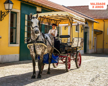 Passeio de Charrete na Zona Histórica de Belém | Até 8 Pessoas