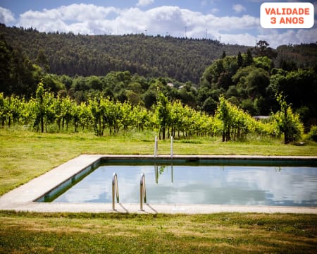 Quinta de Lourosa - Lousada | Estadia com Prova de Vinhos & Opção de Almoço Vínico