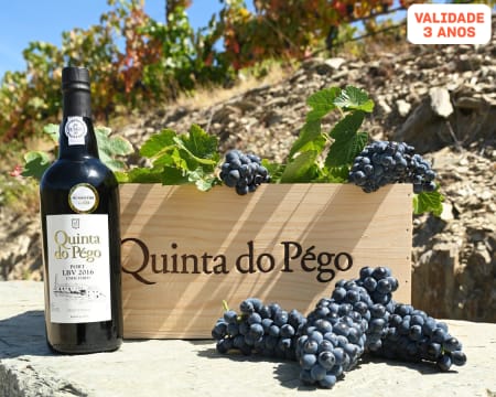 Quinta Do Pégo | Prova de Vinhos Rápida ou Comentada para Dois - Vila Real