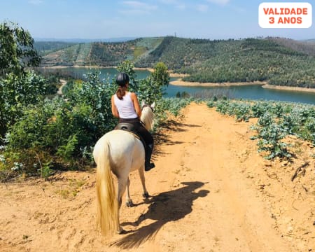 Baptismo Equestre ou Passeio a Cavalo na Quinta Lusitânia | Até 1h30 | Santa Comba Dão