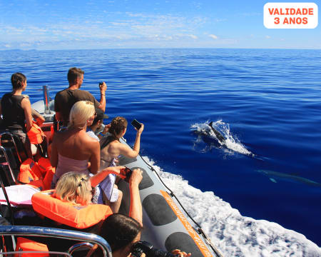 Observação de Golfinhos e Baleias na Madeira | 2h30 | Rota dos Cetáceos - Funchal