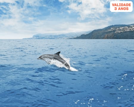 Observação de Cetáceos com Passeio de Barco e Biólogo a Bordo | Bilhete Criança e Adulto | Madeira
