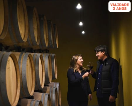 Visita com Prova de Vinhos e Produtos Regionais	para Dois | Soito Wines - Mangualde