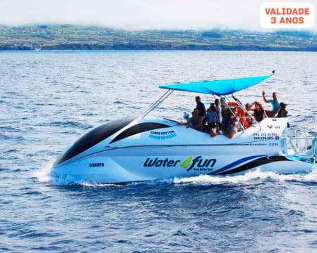 Tour Golfinhos em Barco com Fundo de Vidro nos Açores | Water4fun - Angra do Heroísmo