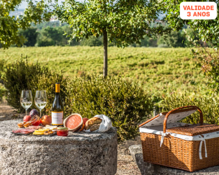 Visita à Adega + Prova de Vinhos com Opção de Petiscos Regionais | 1 ou 2 Pessoas | Viseu