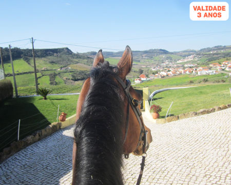 Batismo ou Passeio a Cavalo Romântico & Piquenique na Quintinha dos Cavalos | Arruda dos Vinhos