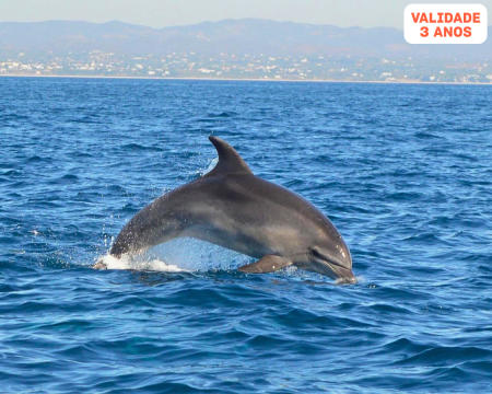 Passeio de Barco com Observação de Golfinhos em Faro | Bilhete de Adulto e Criança | Boat Life