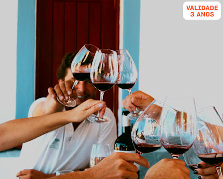 Visita à Quinta + Prova de Vinhos & Snack no Alentejo | 1 ou 2 Pessoas | Casa Relvas - Évora