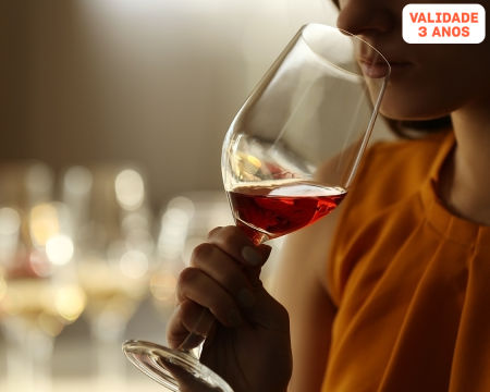 Enólogo por 1 Dia! Ervideira | 1 ou 2 Pessoas | Wine Lounge Adega
