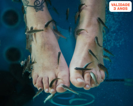 Equador Wellness & Spa - Vila Nova de Gaia | Ictioterapia com Escalda Pés + Ritual de Chá | 1 ou 2 Pessoas