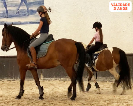 Passeio de Pónei ou Cavalo em Sintra! Criança ou Adulto | Oliveira & Costa Equestrian Team