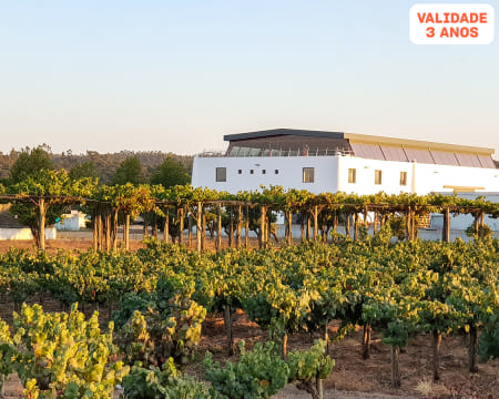 Visita à Adega + Prova de 3 Vinhos Serra Brava para Dois | Herdade Canal Caveira - Grândola