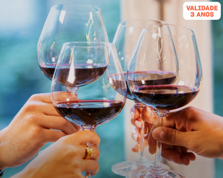 Workshop de Introdução ao Mundo dos Vinhos | Mind the Glass - Baixa do Porto