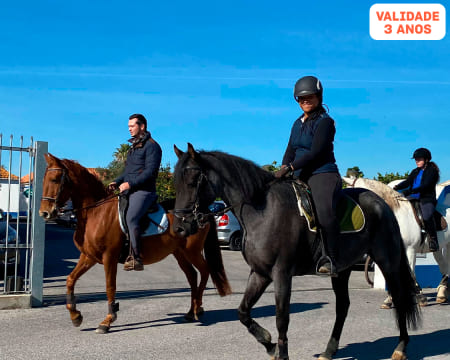 Baptismo a Cavalo para 1 ou 2 Pessoas | Centro Hípico Quinta do Rei - Pinhal Novo