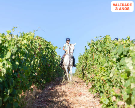 Passeio a Cavalo em Bucelas com os Cavalos da Vinha | 1 Hora de Natureza e Serenidade