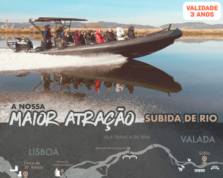 Passeio de Barco Único! Subida do Rio Tejo em Speed Boat | Partidas da Doca de Sto. Amaro ou Pq. das Nações