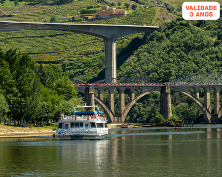 Douro Essencial e Sublimado: Provas de Vinhos, Cruzeiro e Miradouros e Almoço Tradicional | Douro Criativo