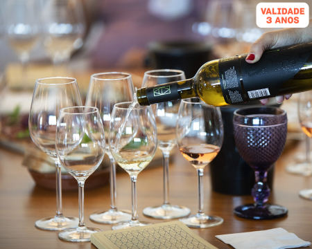 Visita à Adega Mayor & Prova de Vinhos para Dois | Campo Maior