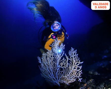 Snorkeling em Sagres c/ Opcão de Passeio de Barco | Até 2 Horas | Pura Vida Divehouse