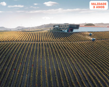 Visita à Fábrica de Bacalhau Constantinos + Passeio Jipe + Prova Vinhos | Quinta da Almiara - Torres Vedras