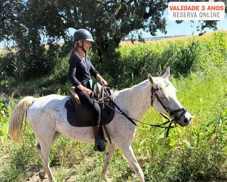 Riquezas de Portugal | Passeio a Cavalo - Dia Completo Riquezas de Portugal | Passeio a Cavalo - Dia Completo