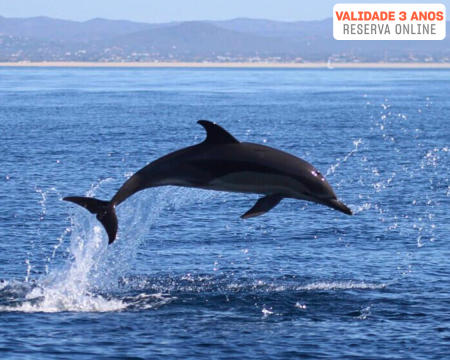 Passeio de Barco pela Arrábida ou Sesimbra c/Opção Observação de Golfinhos | Bilhetes para Famílias