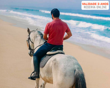 Passeio a Cavalo em Santiago do Cacém ou Atividades com Alpacas c/ Opção Piquenique | Costaxtreme