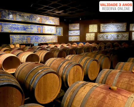 Prova de Vinhos e Visita Guiada no Sul de Portugal! Bilhetes para Adultos e Crianças | Riquezas de Portugal