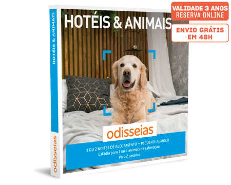 Hotéis & Animais | 20 Estadias à Escolha