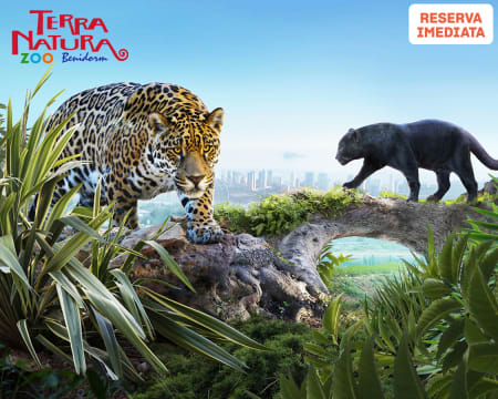 Terra e Aqua Natura Benidorm | Zoo e Parque Aquático com Atracções para Famílias! Terra e Aqua Natura Benidorm | Zoo e Parque Aquático com Atracções para Famílias!