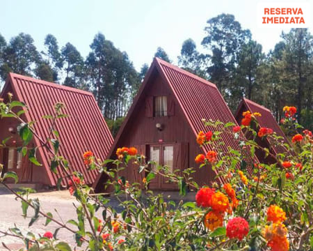 Parque de Campismo de Luso | Estadia em Bungalow na Mata do Buçaco - Tarifa Não Reembolsável